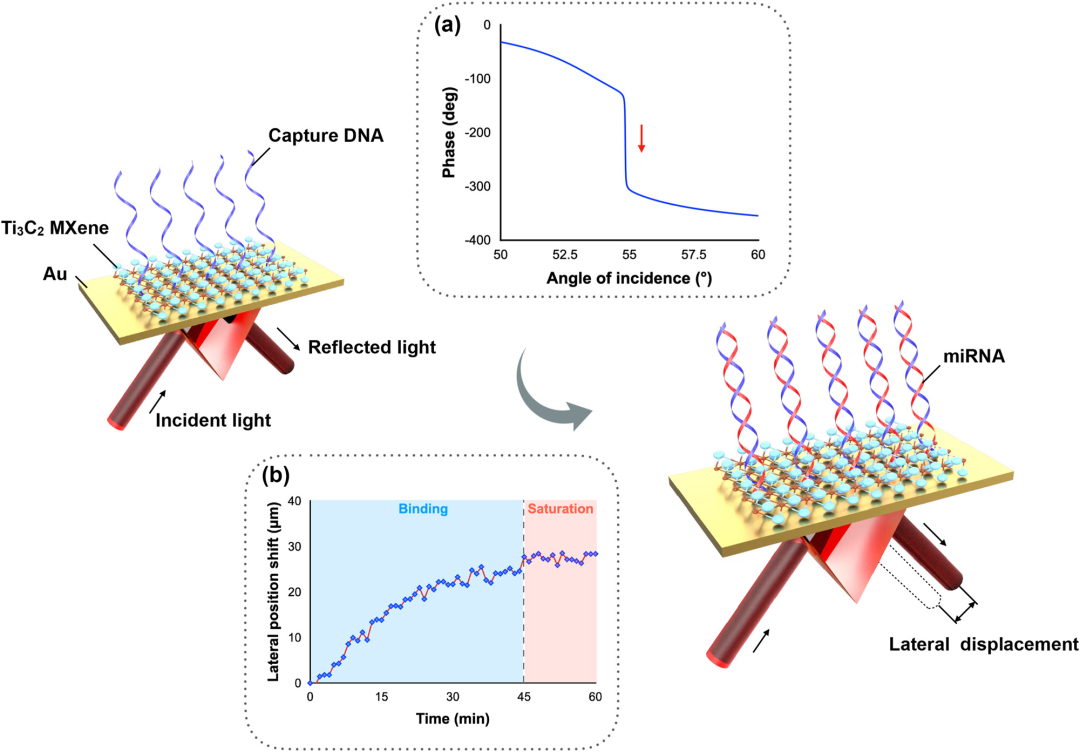 深圳先进院开发超灵敏光学等离子体传感器用于miRNA无标记检测