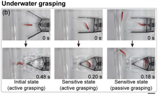 可实现多模态、快速及超灵敏抓取的可编程双稳态执行器