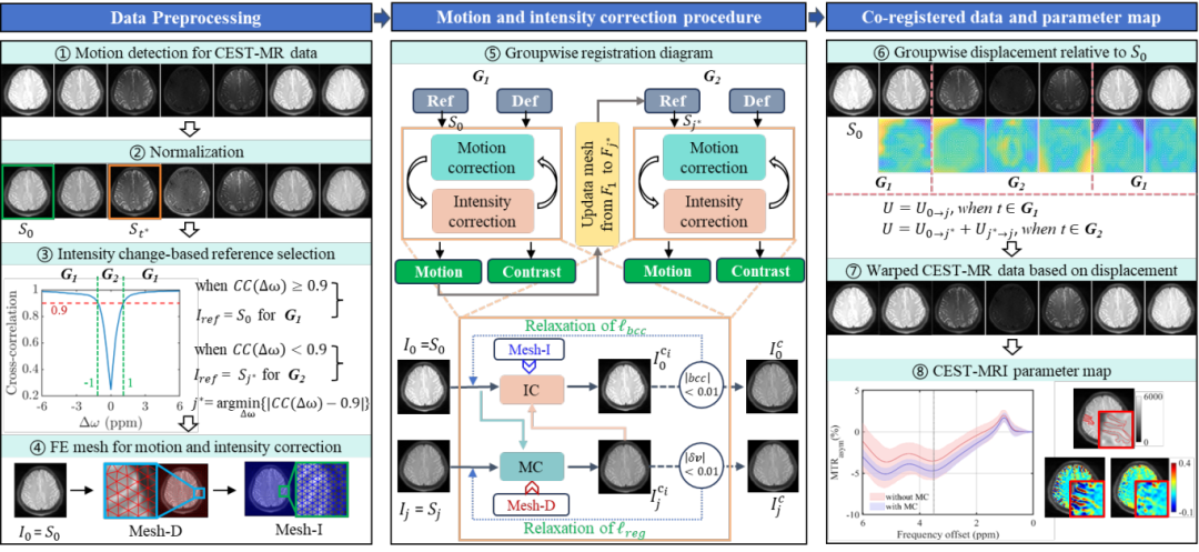 IEEE JBHI | 科研团队实现 CEST-MRI 运动-强度联合校正技术