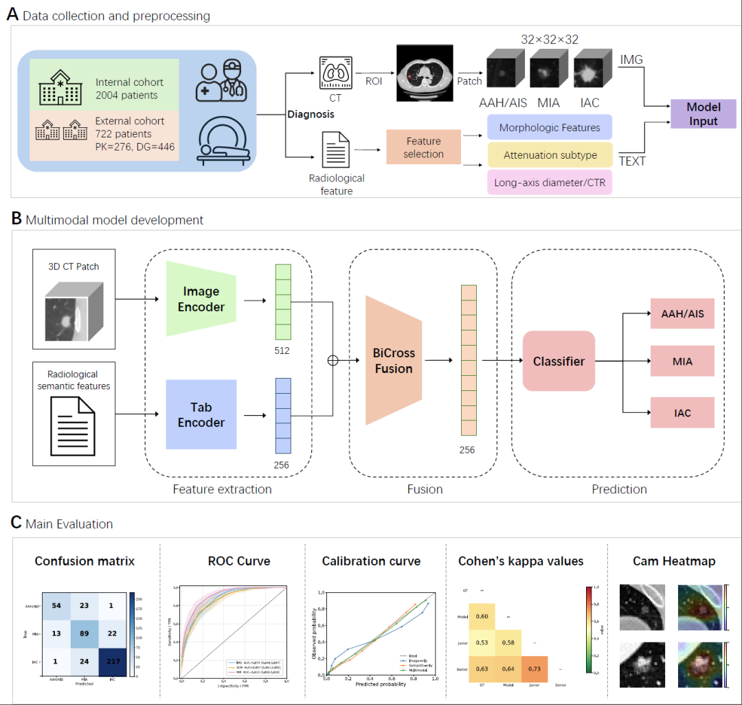 NPJ Digital Medicine | 多模态深度学习助力肺腺癌谱系结节术前浸润分层